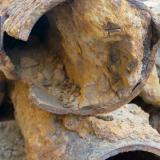 sewer line repair Purcellville VA, tree root removal Purcellville VA, clogged sewer line Purcellville VA, plumber near Purcellville VA, drain cleaning Purcellville VA, best veteran plumbing Purcellville VA, sewer backup Purcellville VA, sewer inspection Purcellville VA, hydro jetting Purcellville VA, root cutting Purcellville VA, sewer camera inspection Purcellville VA, emergency plumbing Purcellville VA, recurring drain clogs Purcellville VA, trenchless sewer repair Purcellville VA, Purcellville plumbing services