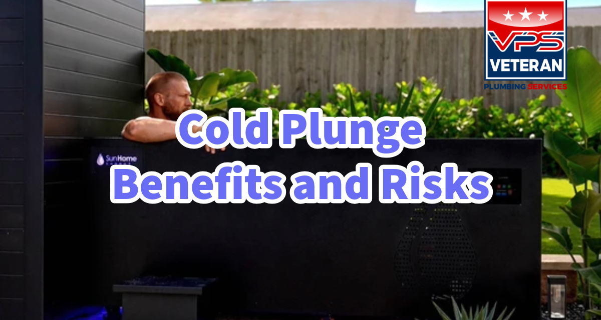 Cold Plunges and Human Health: Review of the Evidence on Physiological and Psychological Outcomes